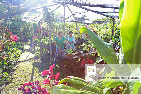 Paar-Gartenarbeit im sonnigen Garten unter dem Vordach