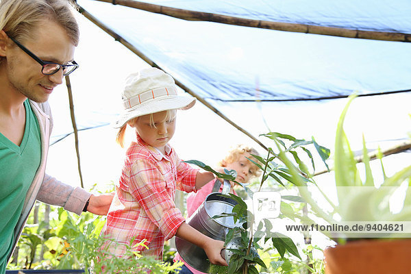 Mann hilft Mädchen beim Gießen von Pflanzen mit Gießkanne im Gewächshaus  Junge im Hintergrund