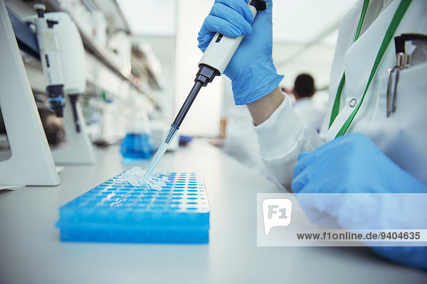 Wissenschaftler pipettieren Proben in den Tray im Labor
