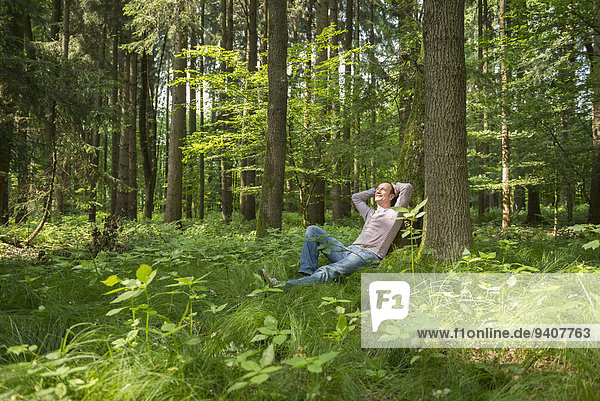 angelehnt Mann lächeln Baum Wald reifer Erwachsene reife Erwachsene