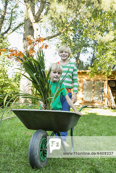 Two brothers playing with wheelbarrow in the garden