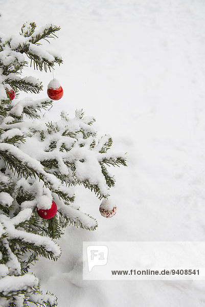 Anschnitt, bedecken, Weihnachtsbaum, Tannenbaum, Dekoration, Schnee