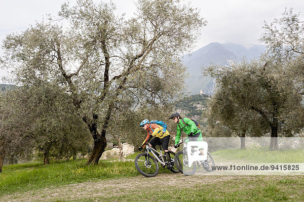 Two Mountainbikers racing through olive grove