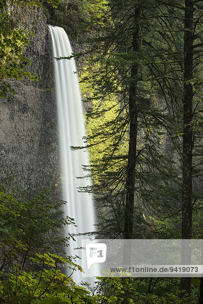 Wasserfall Latourell Falls in der Columbia River Gorge Schlucht  Portland  Oregon  USA
