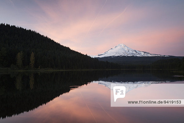 Trillium Lake mit Mount Hood  Clackamas County  Oregon  USA
