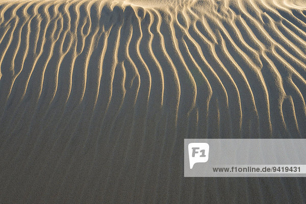 Sandstruktur  Windrippel  Strand  Dänemark