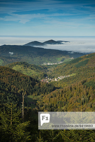 Panoramablick ins Murgtal  Schwarzwald  Baden-Württemberg  Deutschland