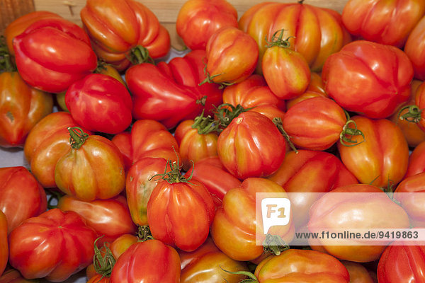 Tomatoes (Solanum lycopersicum)  Germany