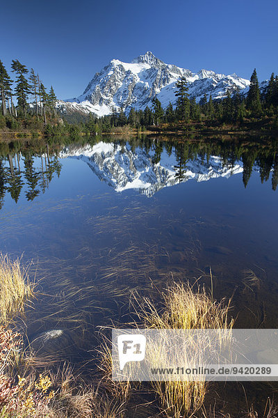 Picture Lake and Mount Shuksan in the Northern Cascades  Rockport  Washington  United States