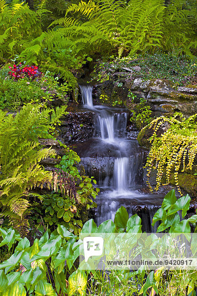 Kleiner Wasserfall im Garten  Sutton  Eastern Townships  Québec  Kanada