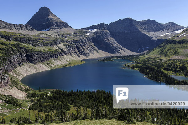 Hidden Lake mit Reynolds Mountains  Glacier-Nationalpark  Montana  USA
