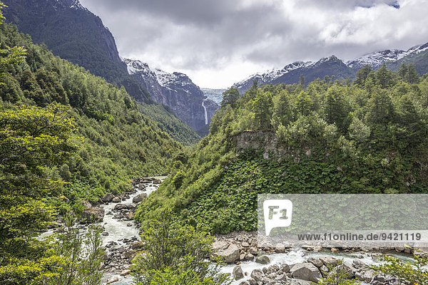 Gletscherfluß und dahinter Ventisquero Colgante oder hängender Gletscher  Parc National Queulat  Puerto Puyuhuapi  Aysén  Chile