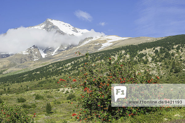 Monte Almirante Nieto  Torres del Paine National Park  Magallanes y la Antártica Chilena Region  Chile