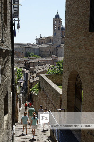 Gasse in der Altstadt  Urbino  Marken  Marche  Italien