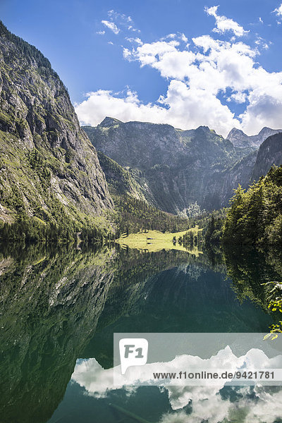 Obersee mit Wasserspiegelung,  Salet am Königssee,  Nationalpark Berchtesgaden,  Berchtesgadener Land,  Oberbayern,  Bayern,  Deutschland