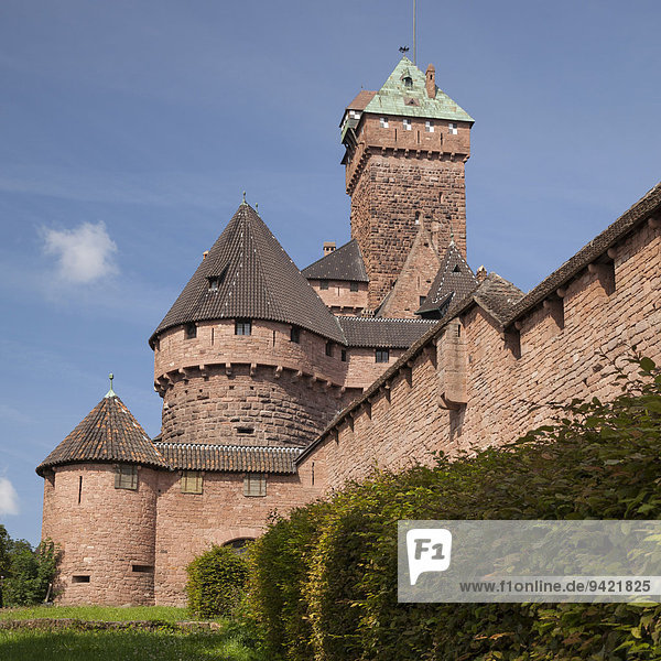 Château du Haut-Koenigsbourg  Hohkönigsburg  Elsass  Frankreich
