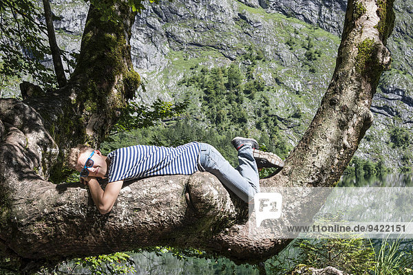 Young Man with sunglasses relaxing on a tree branch  Obersee  Salet am Königssee  National Park Berchtesgaden  Berchtesgadener Land district  Upper Bavaria  Bavaria  Germany