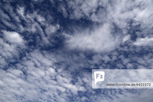 Schäfchenwolken  Schönwetterwolken  Cirrocumuli