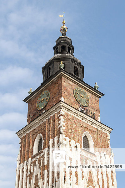 Rathausturm Ratusz auf dem Rynek Glowny oder Hauptmarkt  Krakau  Polen