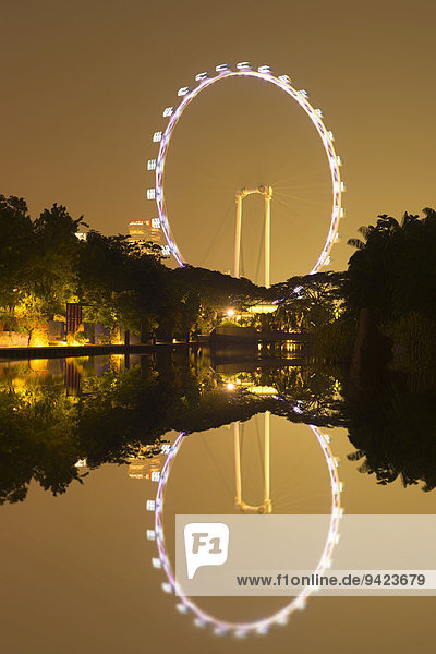 Riesenrad Singapore Flyer  Wasserspiegelung bei Nacht  Singapur