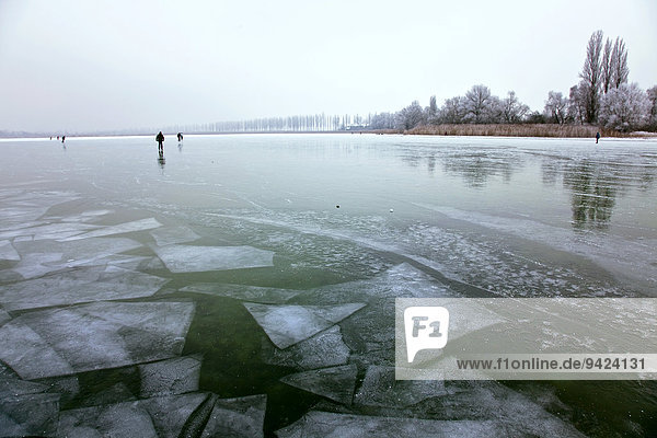 Ice in Lake Constance  Gnadensee Lake  between Reichenau Island and Allensbach  Baden-Wuerttemberg  Germany  Europe