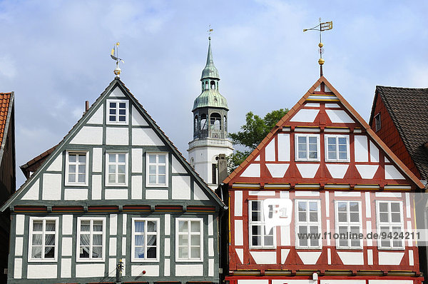 Fachwerkhäuser und Glockenturm der Stadtkirche St. Marien  Celle  Niedersachsen  Deutschland