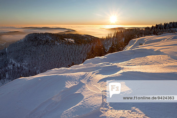 Sonnenaufgang und Schneekante  Hornisgrinde  Schwarzwald  Baden-Württemberg  Deutschland  Europa