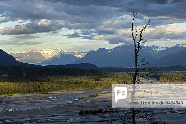 Blick auf den Matanuska River bei Palmer  Alaska  USA