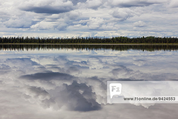 Wolkenspiegelung an einem See bei Willow in Alaska  USA  ÖffentlicherGrund