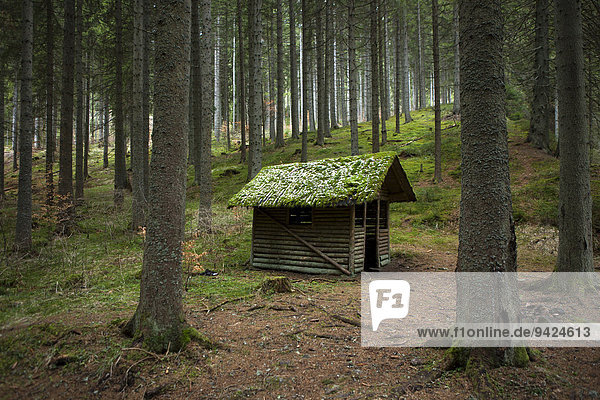 Schutzhütte in der Gauchachschlucht im Schwarzwald  Baden-Württemberg  Deutschland  Europa