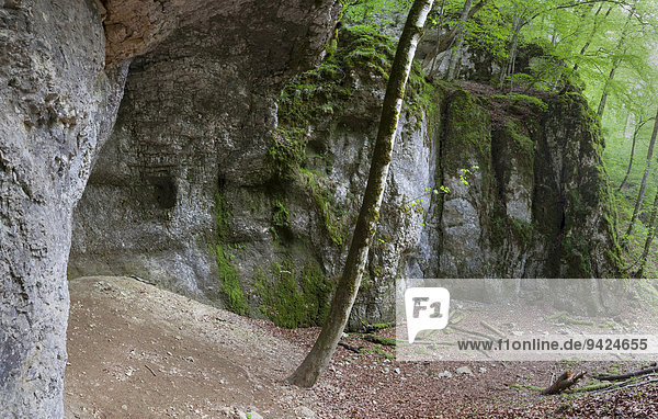 Felsengrotto unterhalb der Burg Wildenstein im Donautal  Baden-Württemberg  Deutschland  Europa