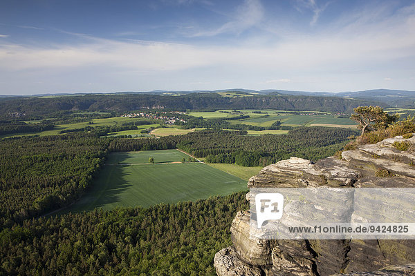 Blick vom Lilienstein  einem Tafelberg im Elbsandsteingebirge  Sachsen  Deutschland  Europa