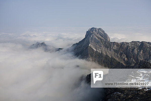 Low stratus as seen from Saentis mountain  view of Altmann mountain  Alpstein mountain group  Appenzell  Switzerland  Europe