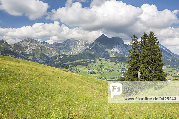 Ausblick vom Klangweg im Toggenburg auf den Alpstein mit Säntis  Wildhaus  Kanton St. Gallen  Schweiz