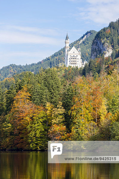 Schloss Neuschwanstein vom Alpsee aus  im Herbst  Ostallgäu  Bayern  Deutschland