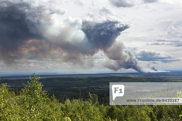 Waldbrand nach einem Blitzschlag  südlich von Fairbanks  Alaska  USA