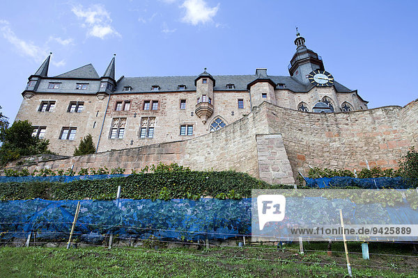 Marburger Schloss  Marburg  Hessen  Deutschland  Europa