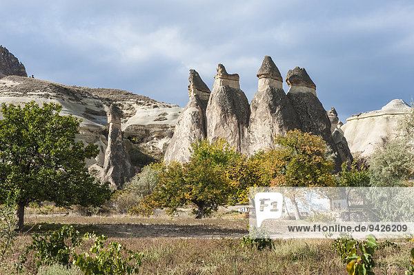 Feenkamine oder Erdpyramiden  Tal der Mönche oder Pasabagi-Tal  Nationalpark Göreme  UNESCO-Weltnaturerbe  Kappadokien  Türkei