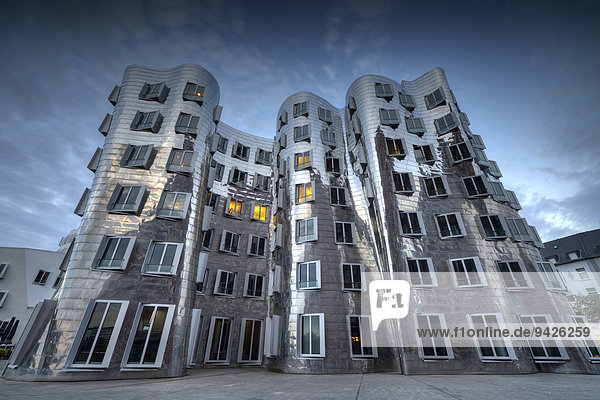 Gehry-Bauten  Neuer Zollhof  Medienhafen  Düsseldorf  Nordrhein-Westfalen  Deutschland