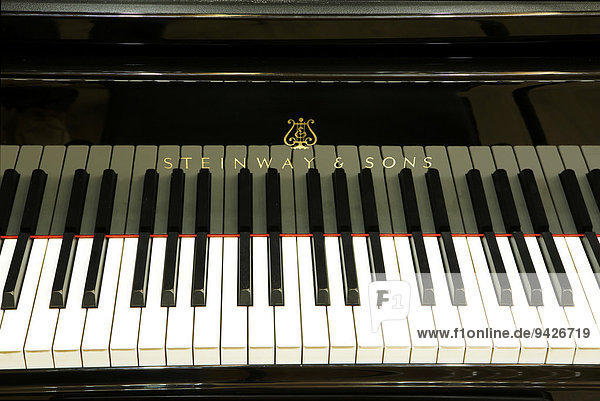Klaviatur,  Piano,  Flügel Steinway & Sons