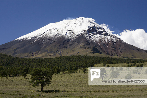 Iztaccihuatl volcano from Paso de Cortés  Puebla  Mexico