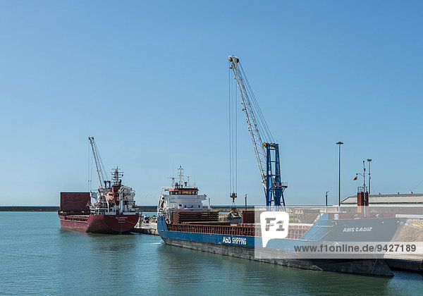Schiff wird mit Kohle beladen  Frachthafen von Livorno  Toskana  Italien