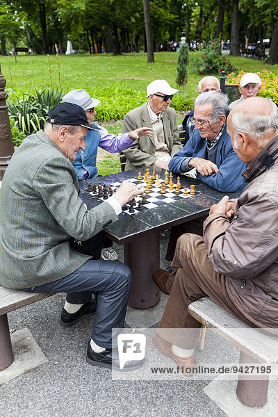 Männer spielen Schach Neu-Belgrad in Belgrad Serbien