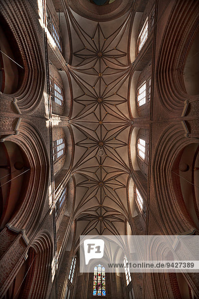 Gotisches Deckengewölbe der Nikolai-Kirche  1407 bis 1440 im Stil der Hansekirchen gebaut  Lüneburg  Niedersachsen  Deutschland
