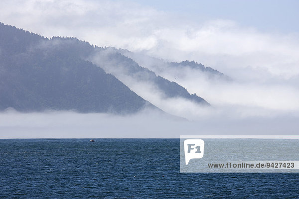 Meer  Wasser  Nebel  Berge  Küste  bei Crescent City  Kalifornien  USA