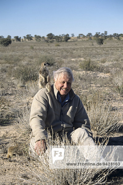 Sir David Attenborough mit Erdmännchen auf der Schulter  Filmarbeiten für BBC-Serie Life of Mammals  Kalahari  Provinz Nordkap  Südafrika