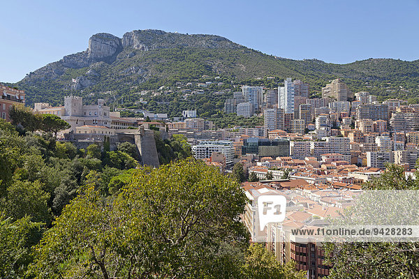 Fürstenpalast und Stadt  Monaco