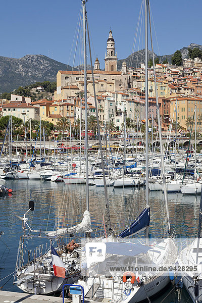 Old town and marina  Menton  Cote d'Azur  France
