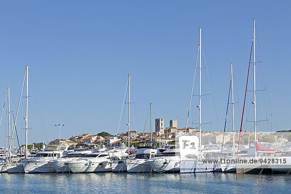 Hafen  Altstadt  Antibes  Cote d'Azur  Frankreich