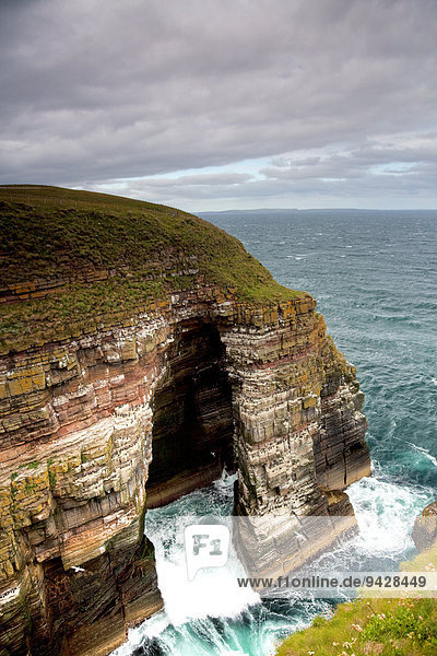 Brutplatz für viele Vögel an der Nordsee  Küste in Schottland  Großbritannien  Europa